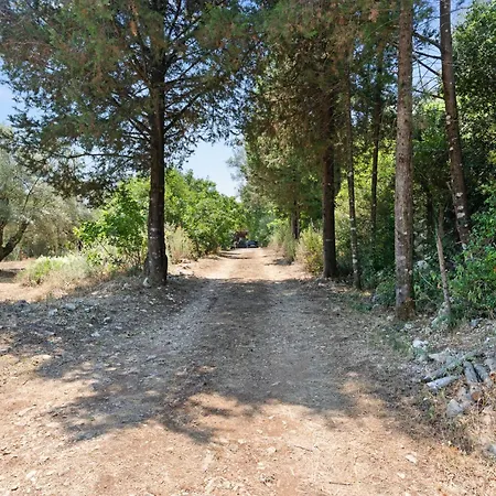 Olive Haven Nidri New Listing Promotion Neochori (Lefkada)